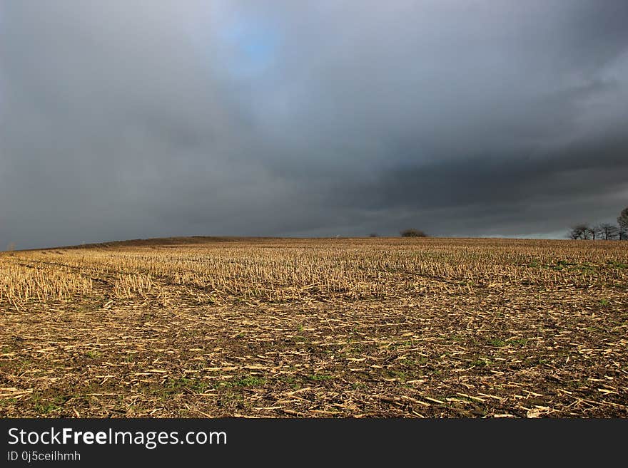 Sky, Field, Ecosystem, Cloud