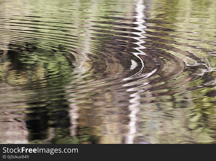 Reflection, Water, Tree, Water Resources