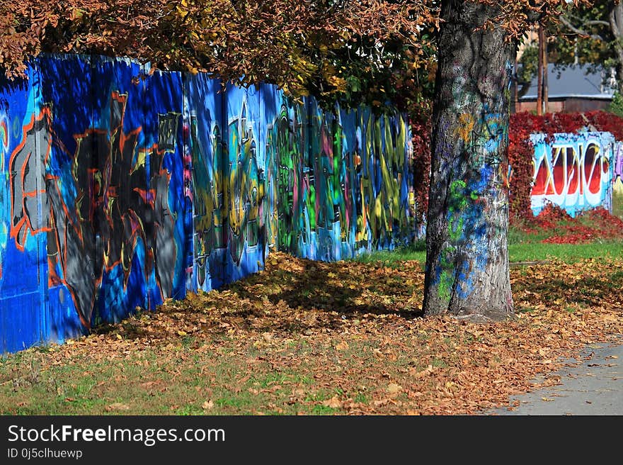 Tree, Wall, Grass, Plant