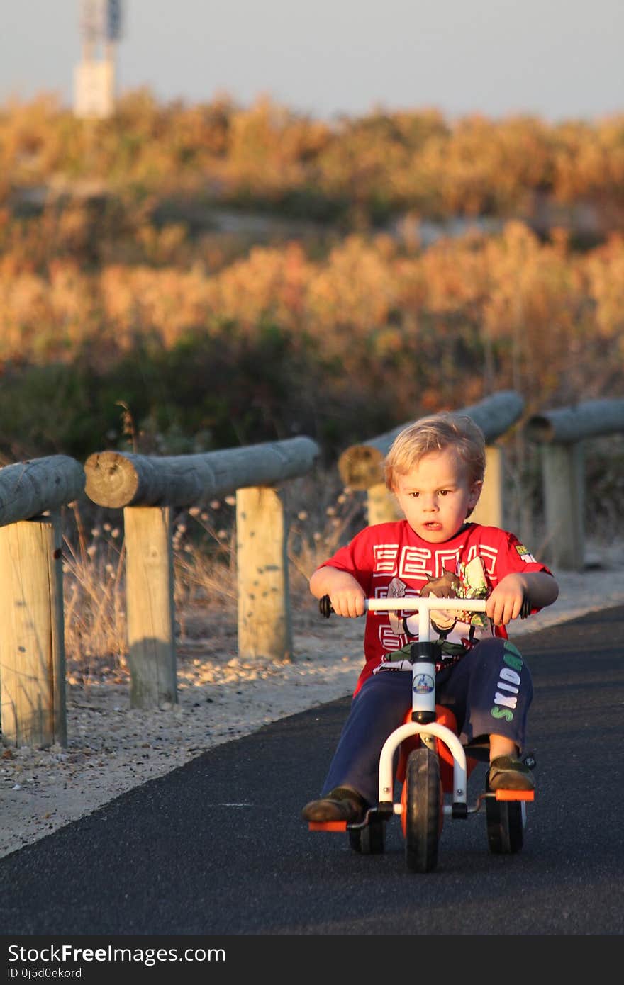 Land Vehicle, Child, Car, Vehicle