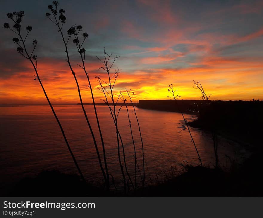 Sky, Sunset, Horizon, Sunrise