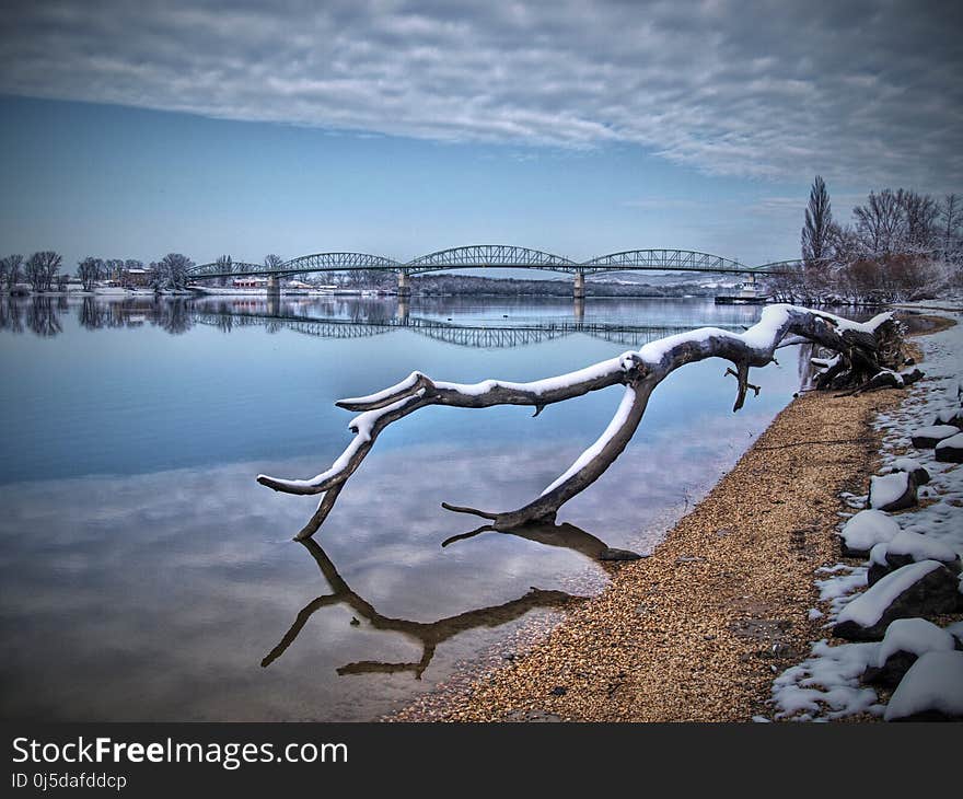 Reflection, Water, Freezing, Branch