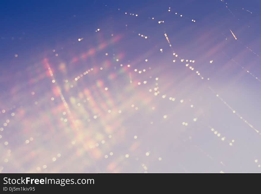 Blurred Waterdrops On Cobweb