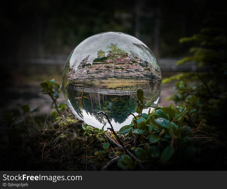 Nature, Reflection, Sphere, Water