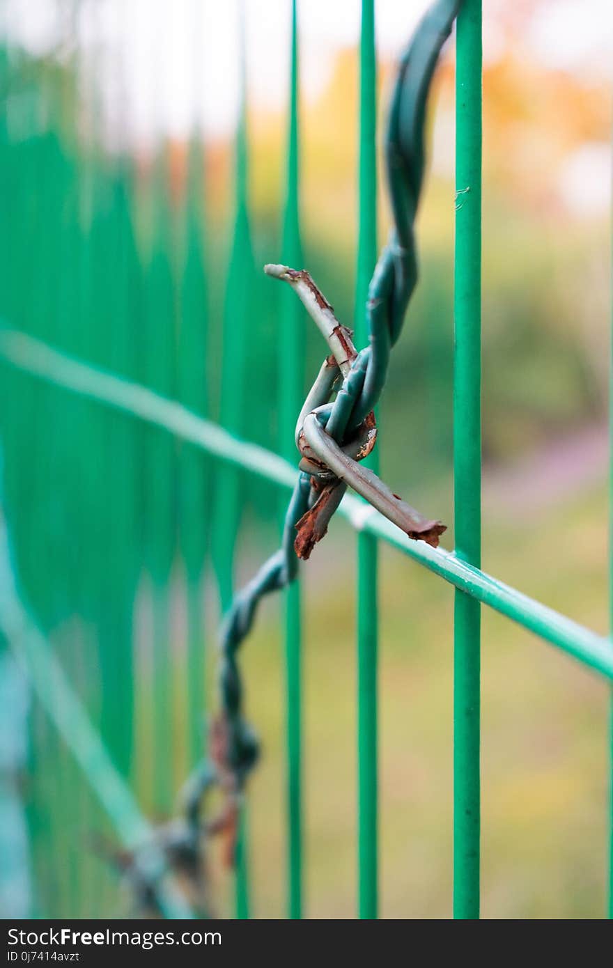 Green, Wire Fencing, Grass, Plant