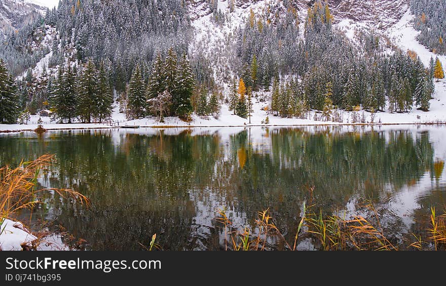 Reflection, Water, Nature, Body Of Water