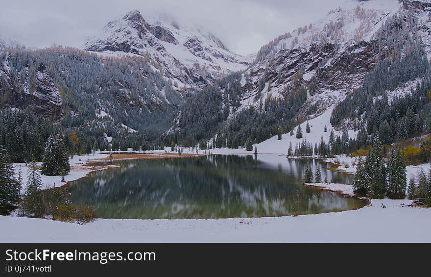 Snow, Winter, Nature, Wilderness