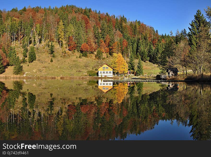 Reflection, Nature, Wilderness, Leaf