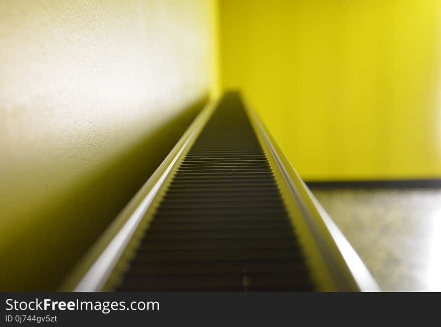 Yellow, Close Up, Line, Angle