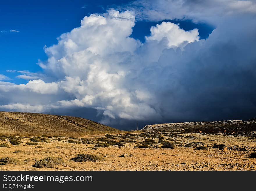 Sky, Cloud, Ecosystem, Cumulus