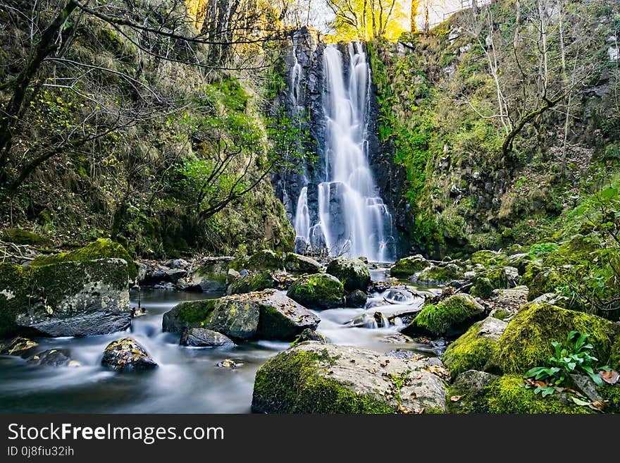 Waterfall, Water, Nature, Vegetation