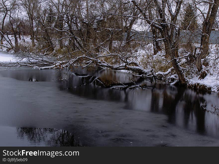 Water, Winter, Reflection, Nature