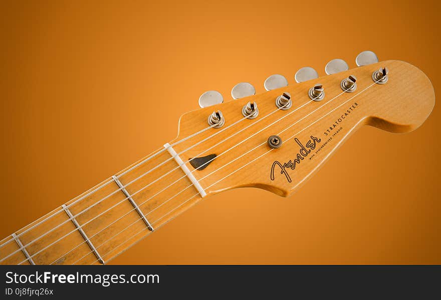 Musical Instrument, Guitar, String Instrument Accessory, String Instrument