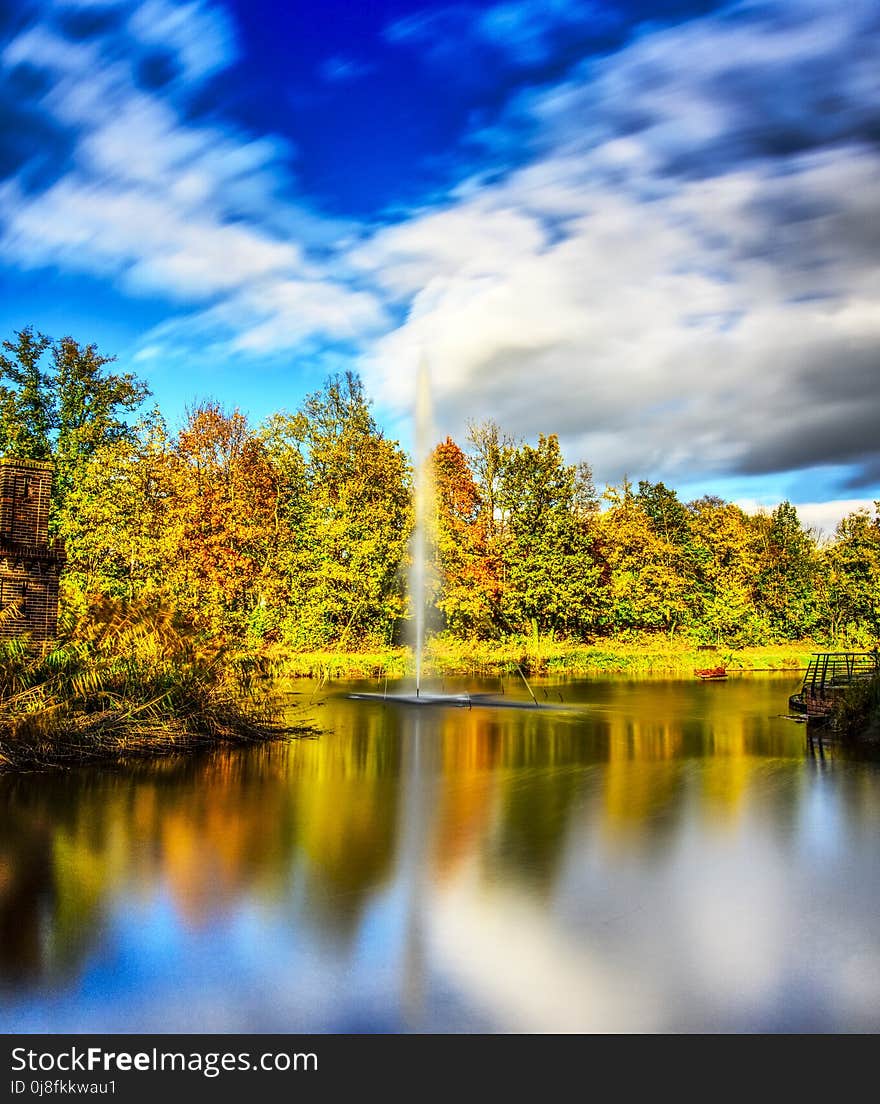 Reflection, Water, Nature, Leaf