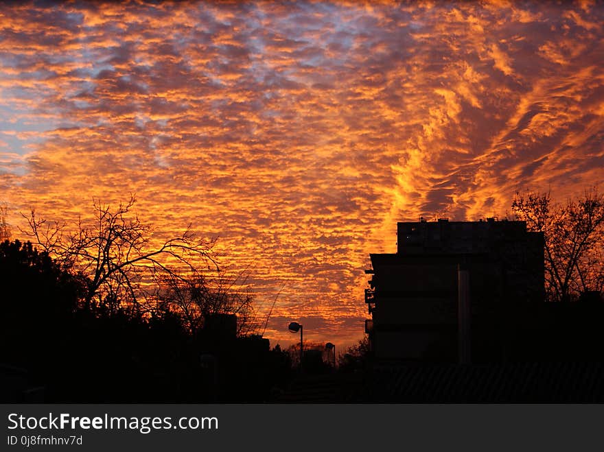 Sky, Afterglow, Red Sky At Morning, Cloud