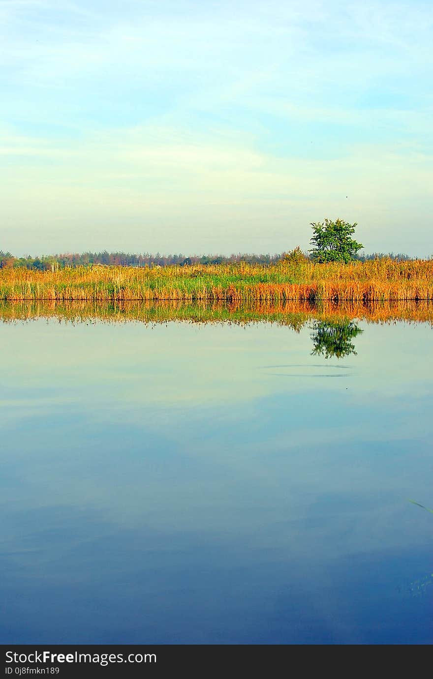 Reflection, Water, Wetland, Water Resources