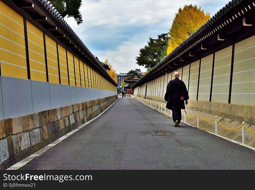 Road, Yellow, Lane, Infrastructure