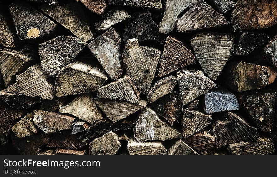 Leaf, Wood, Texture, Rock