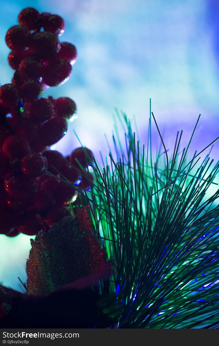 Decorated Christmas tree and colorful garland lights. Decorated Christmas tree and colorful garland lights.