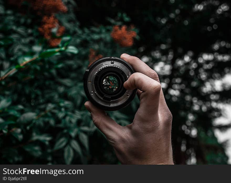 Person Holding Camera Lens