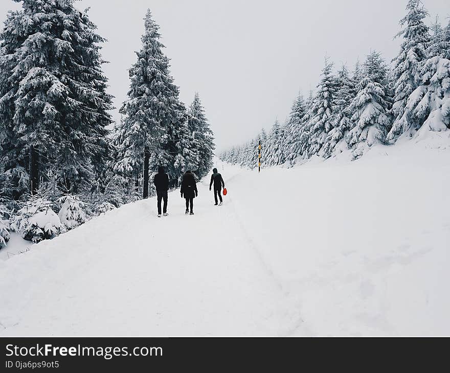 Man on Black Jacket Walking on Snow