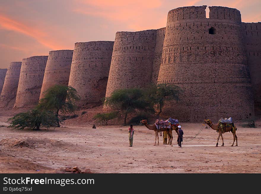 Two Man Pulling Brown Camels Beside Rock Formation Landmark