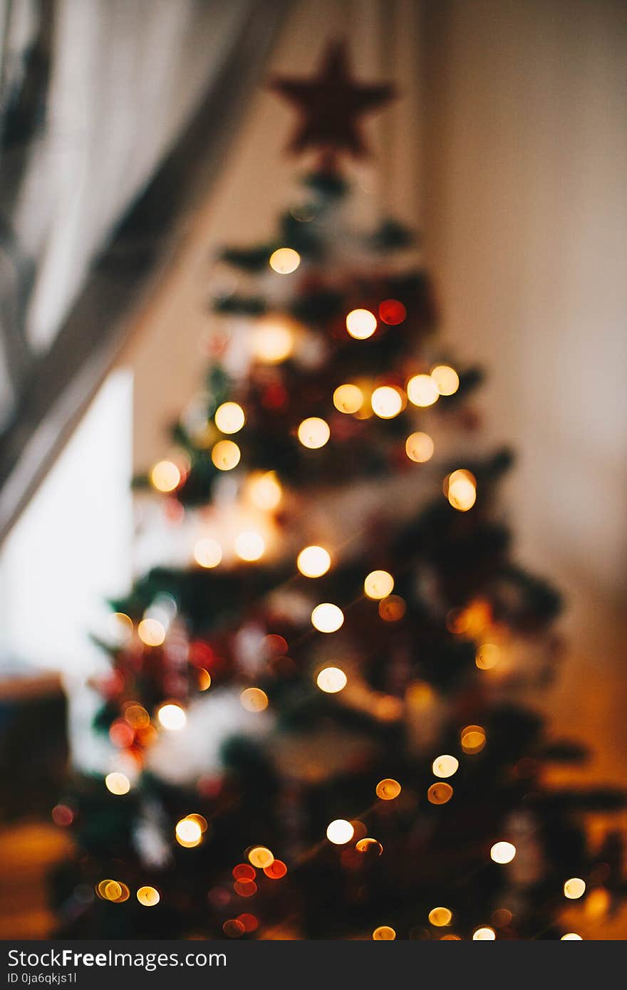 Green Christmas Tree With String Lights