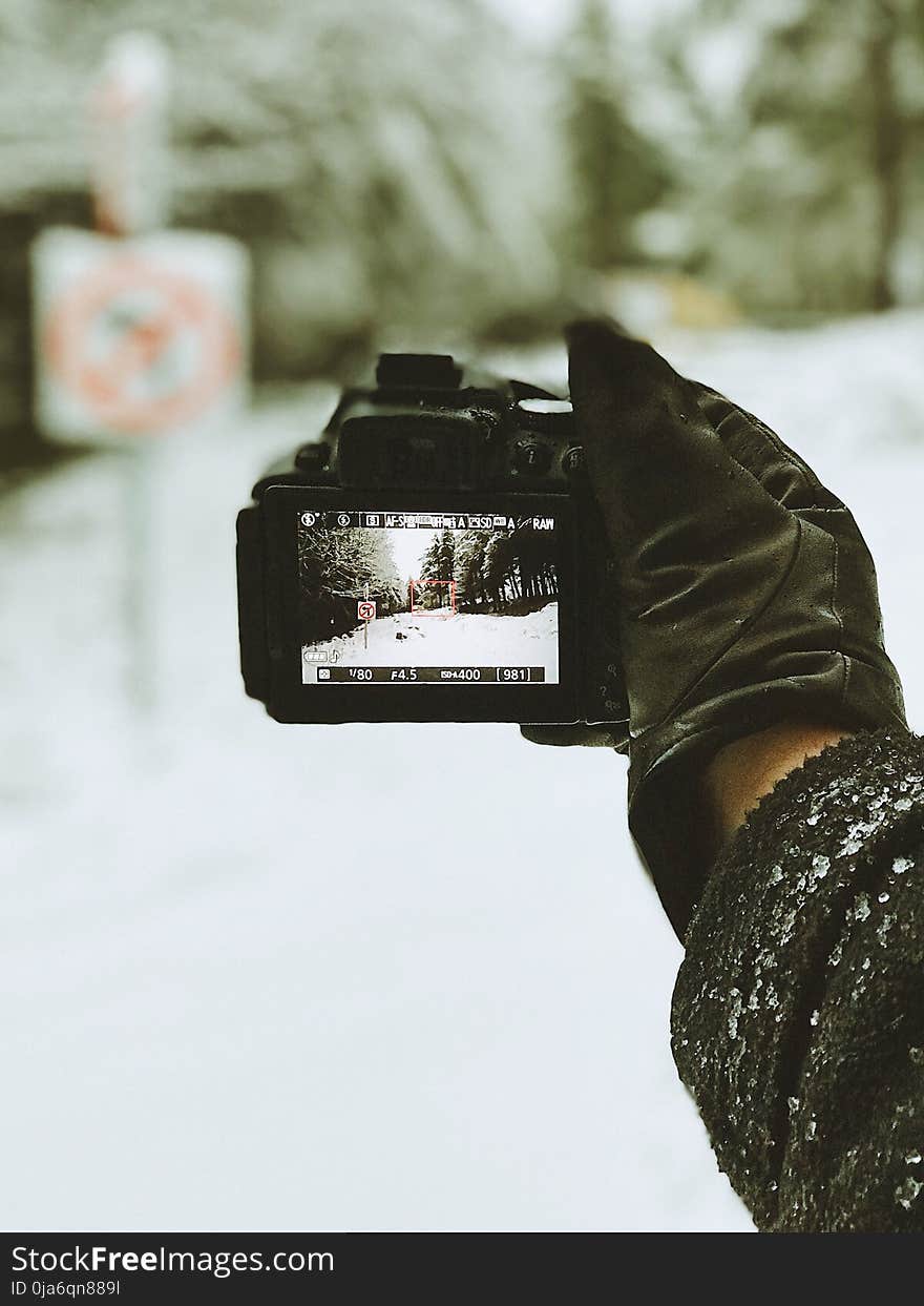 Close-up Photo of Person Holding Black Camera