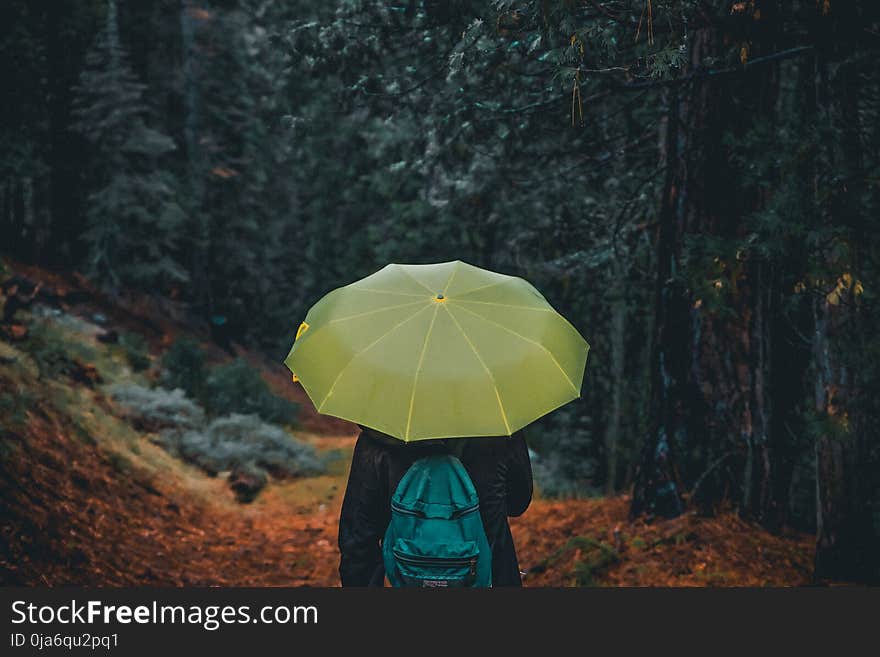 Photography of a Person Holding Yellow Umbrella