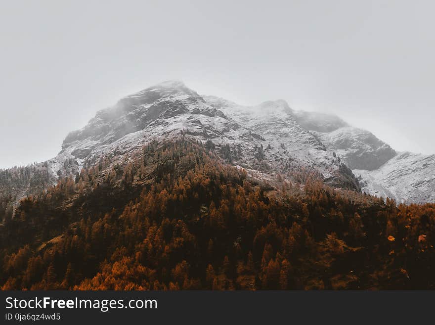 White Glacier Mountain