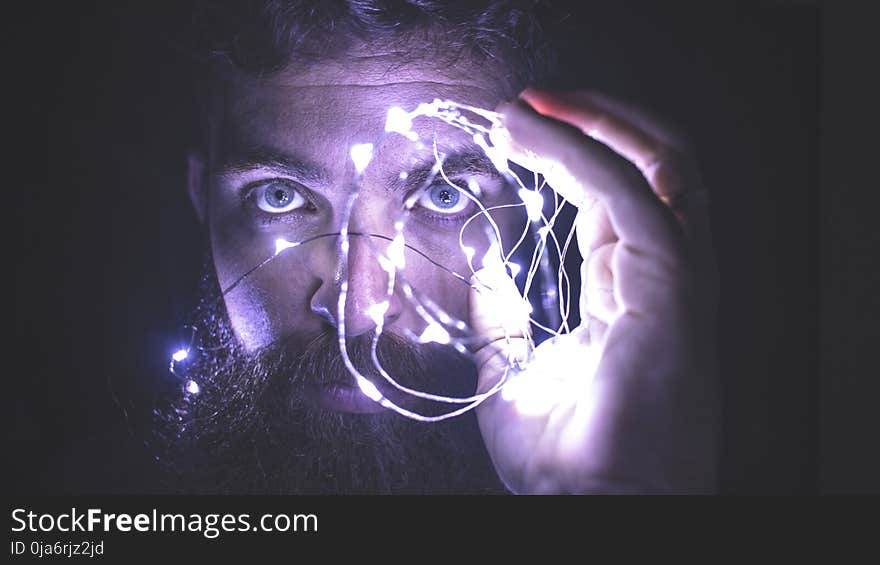 Person Holding String Lights Photo