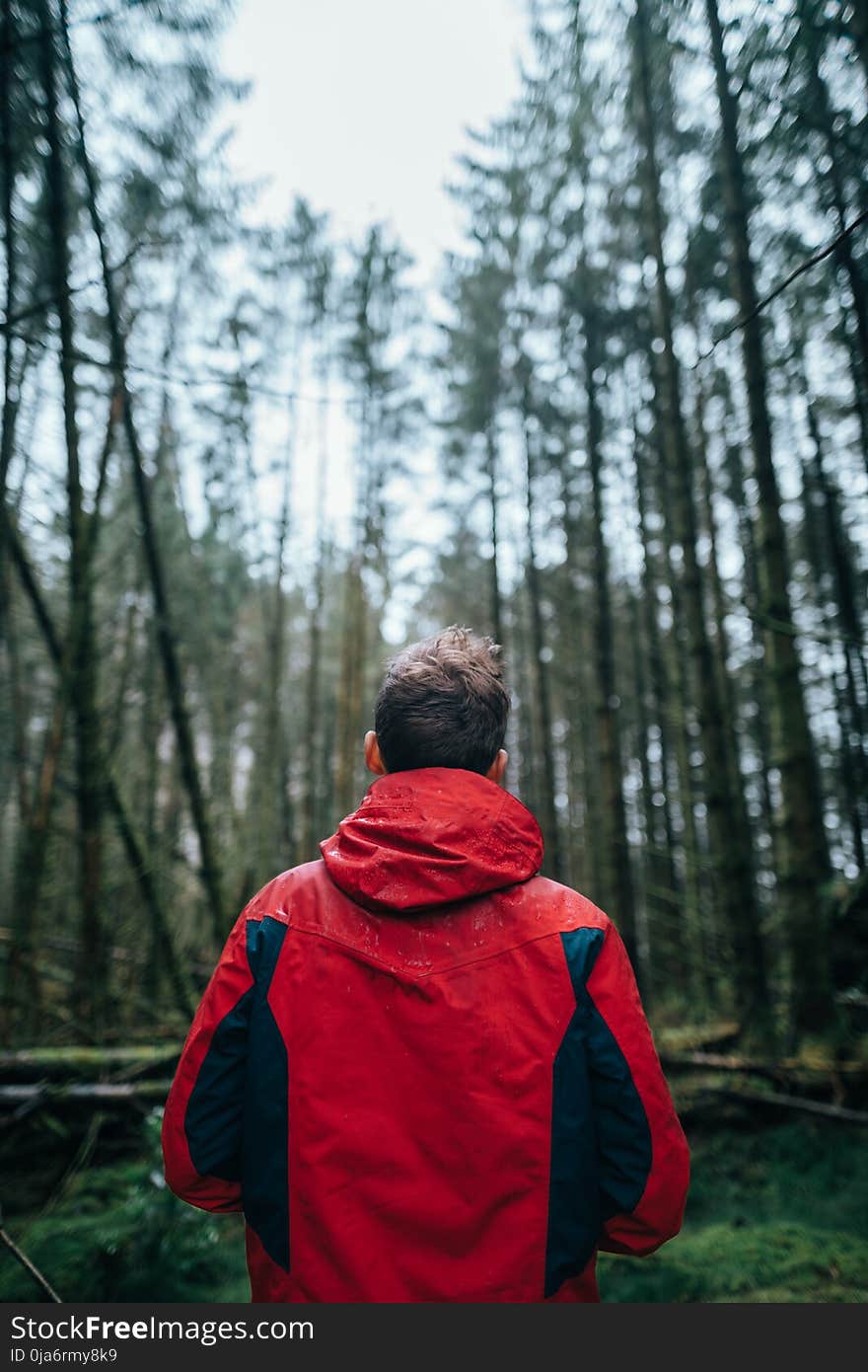 Photography of Man Wearing Black and Red Jacket Standing in Forest