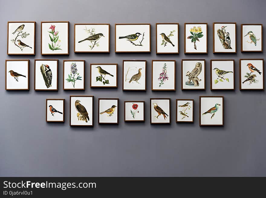 Bird Painting Wall