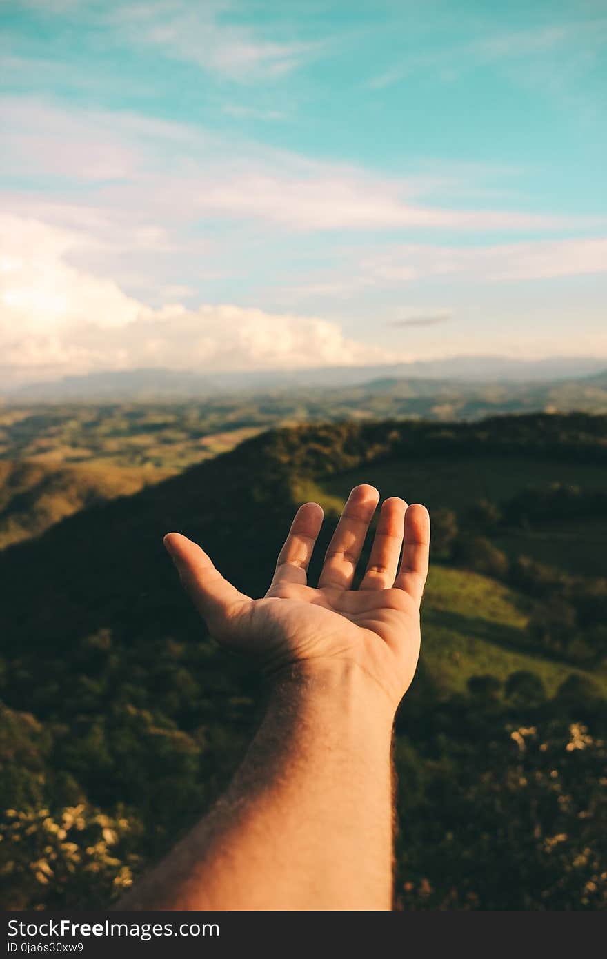 Person&#x27;s Left Hand