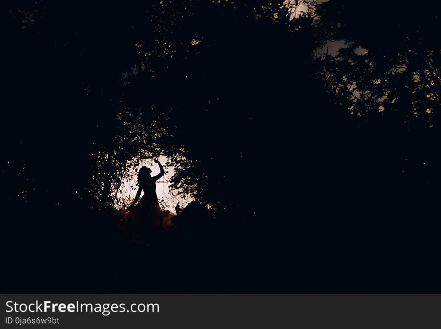 Silhouette of a Woman