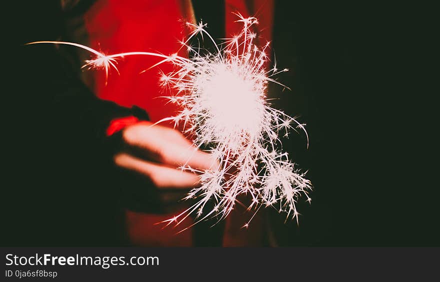 Photo of a Person&#x27;s Hand Holding Firecracker