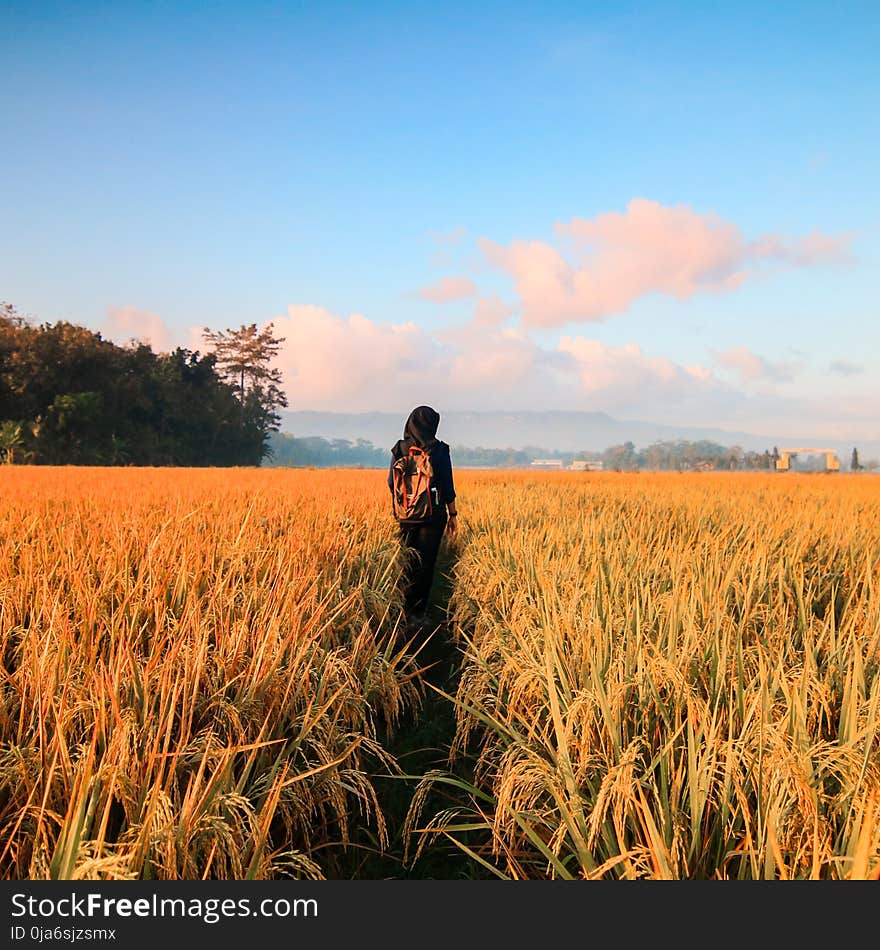 Woman in Black Hijab Headscarf Walking on Field