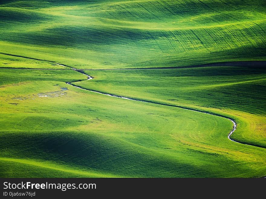 Green Grass Field