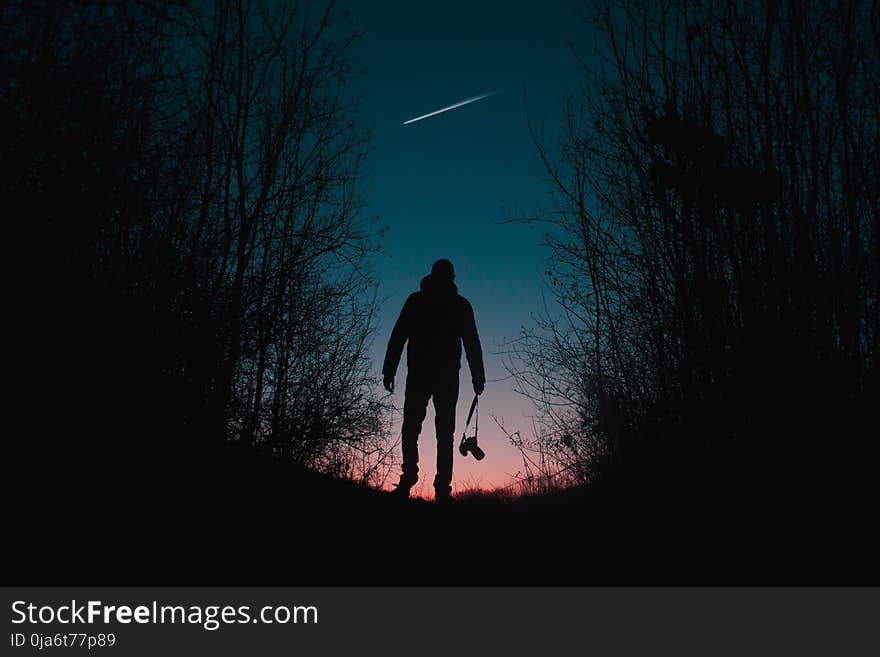 Silhouette Of Man And Trees