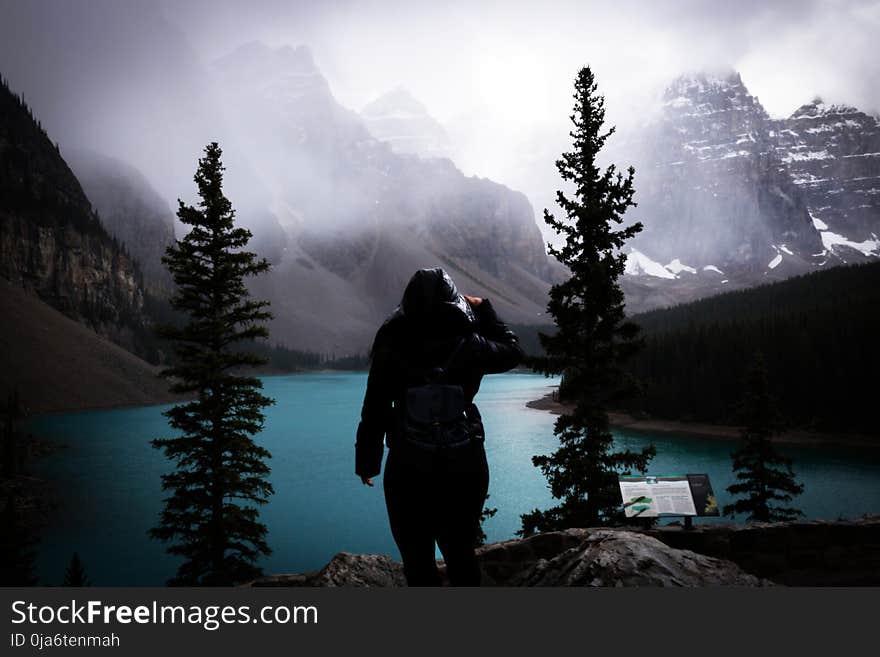 Photography of Person Wearing Coat Standing Between Tall Trees Near River