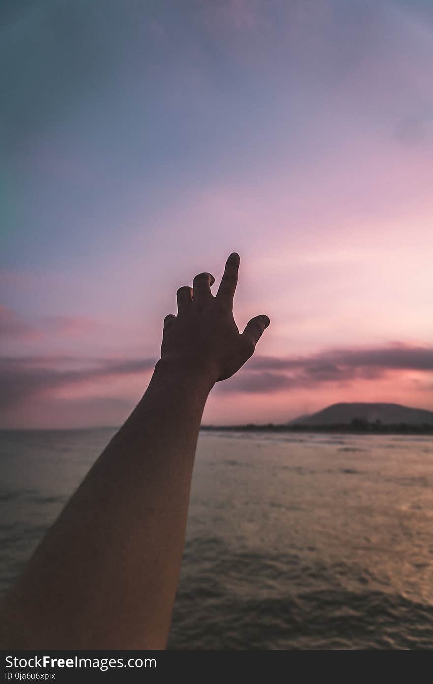 Person Taking Photo of Left Hand