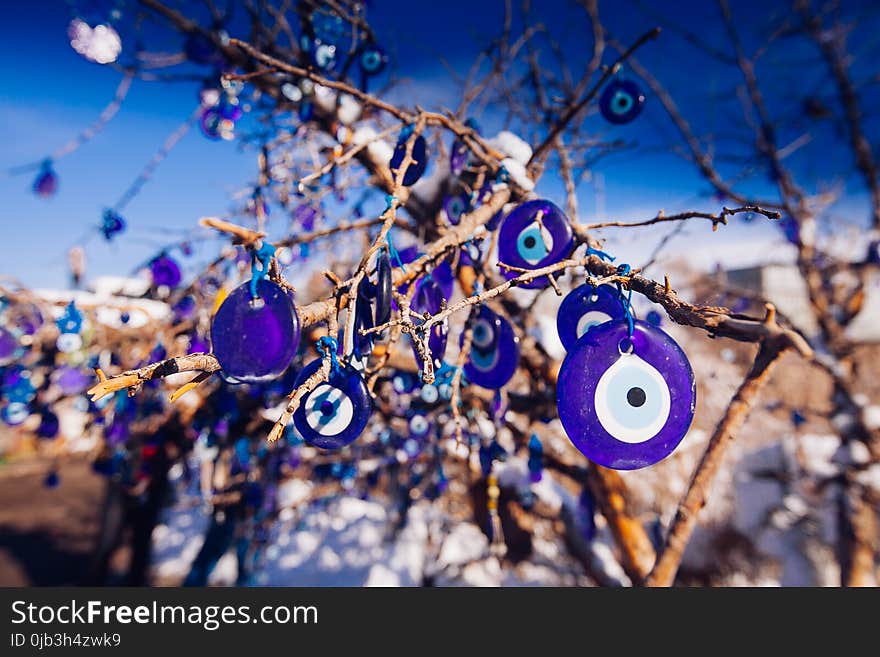 Nazar, charms to ward off the evil eye , on the branches of a tree in Cappadocia, Turkey