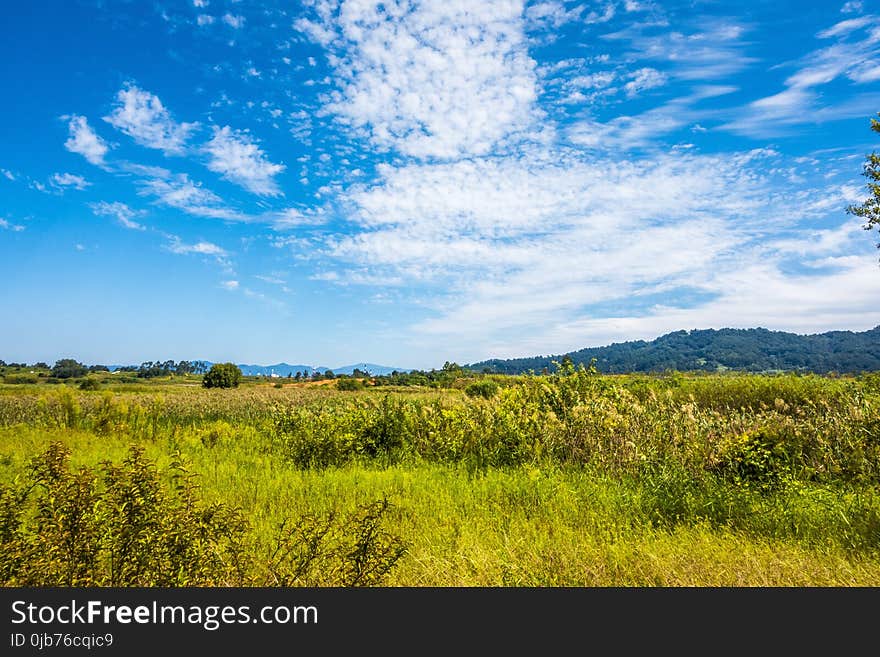 Sky, Grassland, Ecosystem, Cloud