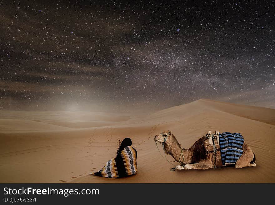 Sky, Sand, Star, Landscape