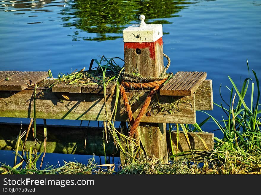 Water, Reflection, Plant, Grass