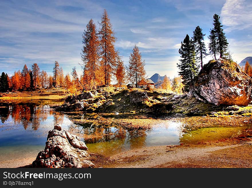 Reflection, Nature, Water, Wilderness