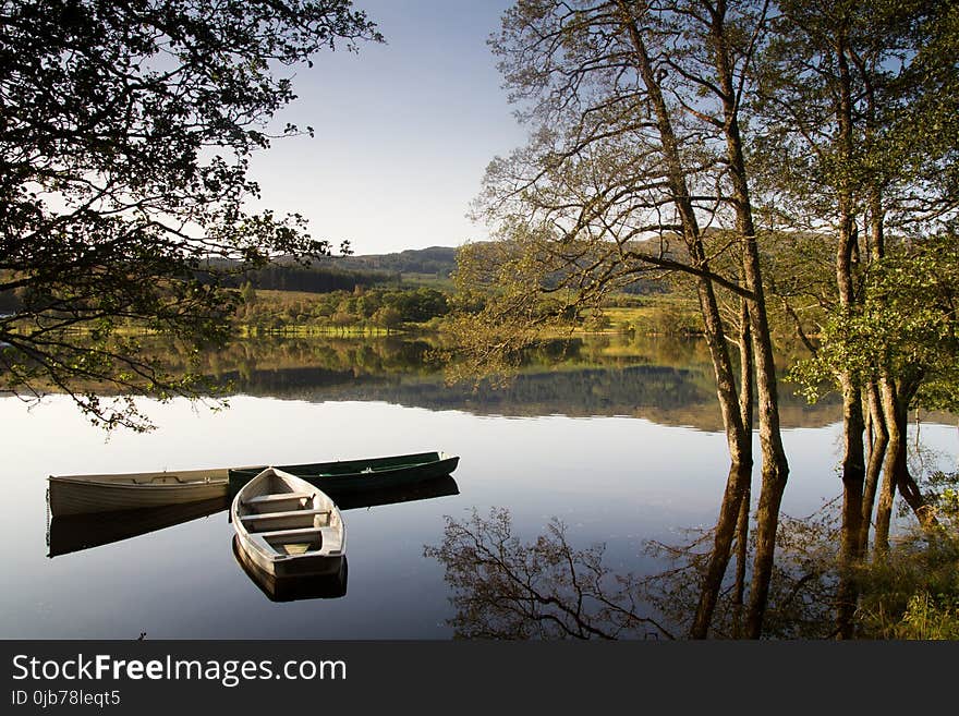 Reflection, Nature, Water, Tree