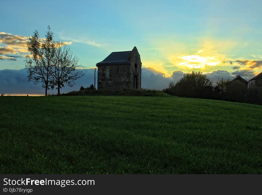 Sky, Grassland, Field, Grass