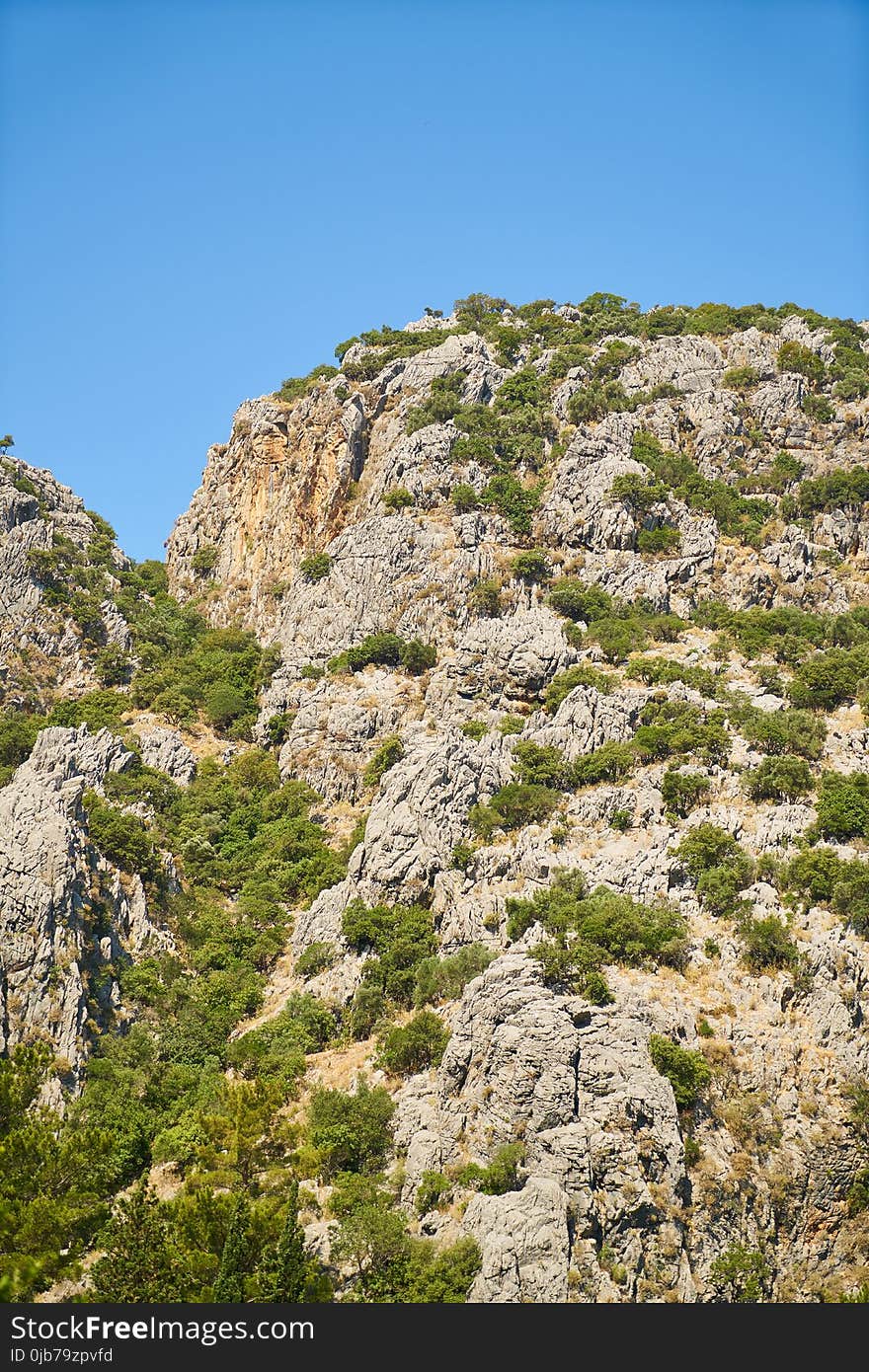 Chaparral, Vegetation, Sky, Rock