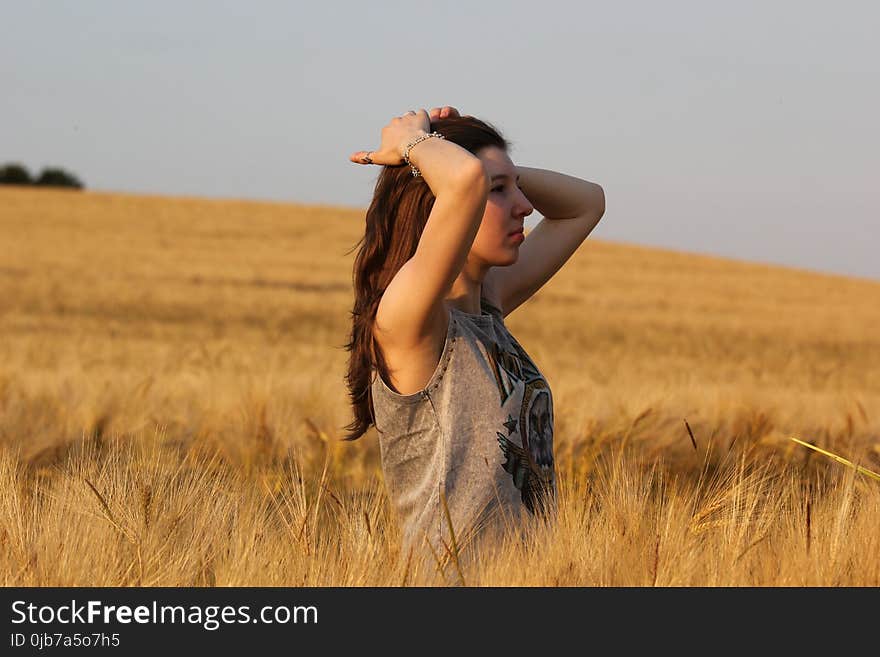 Prairie, Grass Family, Grassland, Field